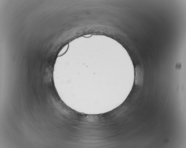 X0000112001491200909141048