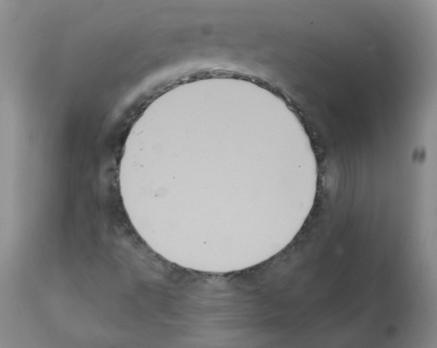 X0000112001495200909141048