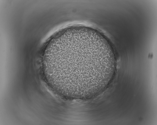 X0000112001496200909141048