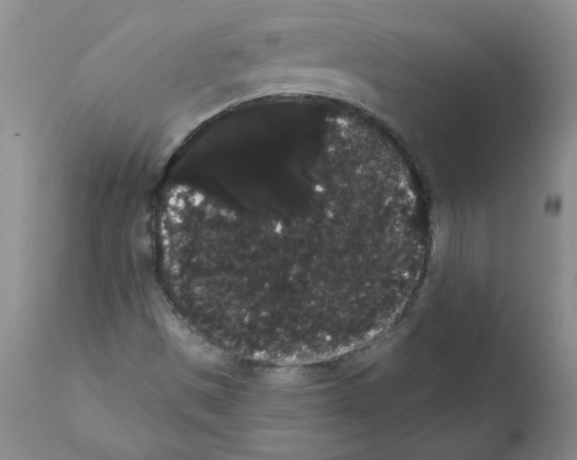 X0000112001497200909141048