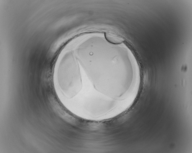 X0000112001498200909141048