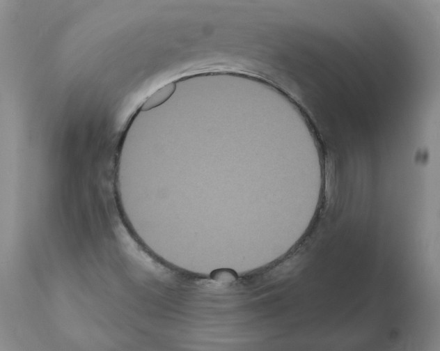 X0000112001500200909141048