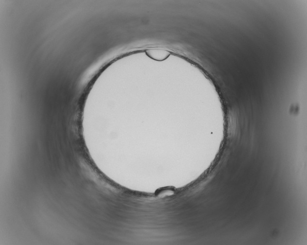 X0000112001502200909141048