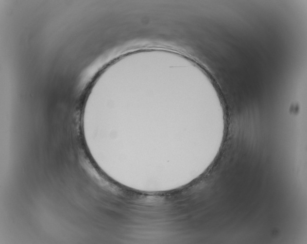 X0000112001503200909141048