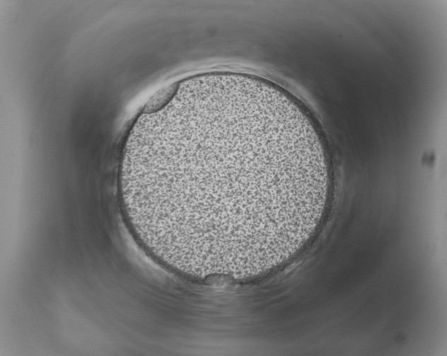 X0000112001504200909141048