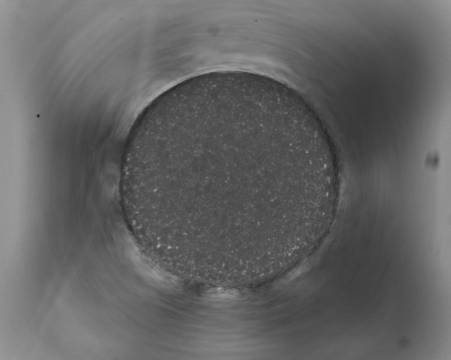 X0000112001505200909141048