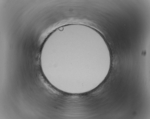 X0000112001507200909141048