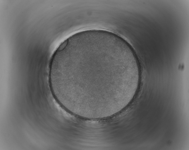 X0000112001508200909141048