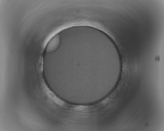 X0000112001510200909141049