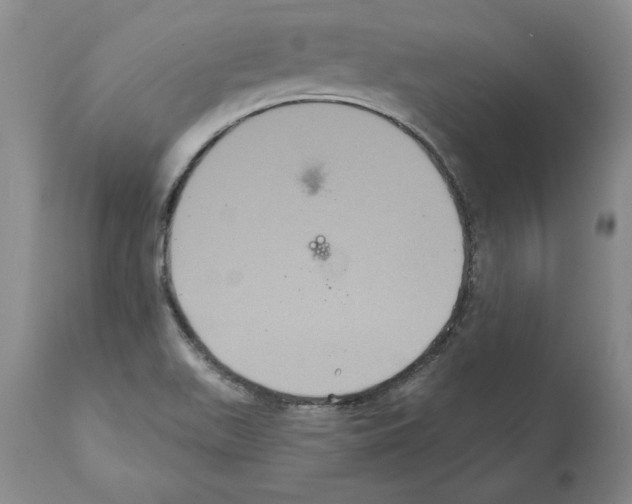 X0000112001511200909141049