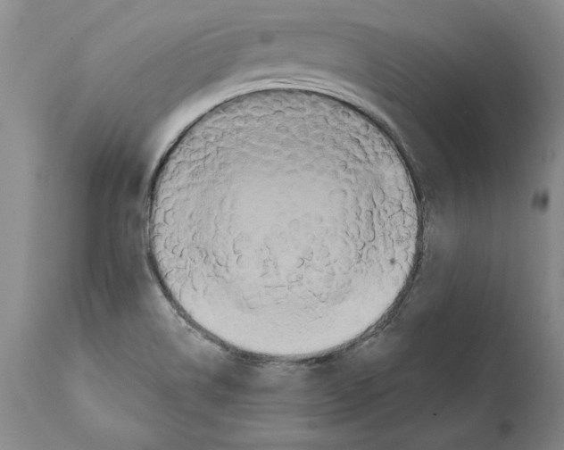 X0000112001514200909141049