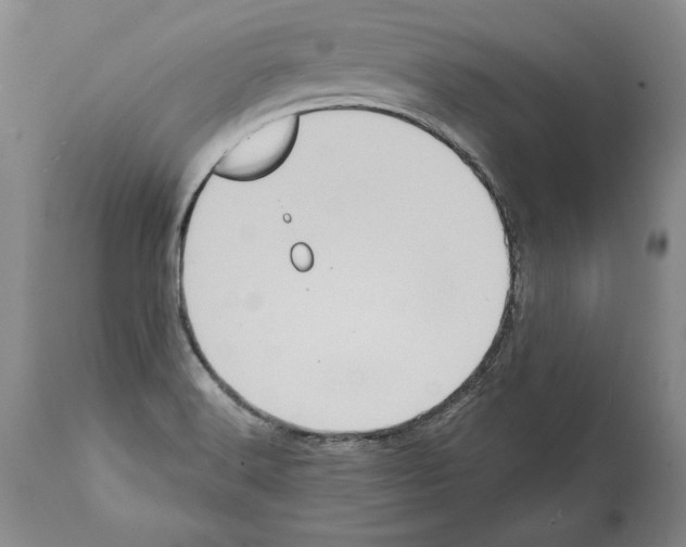 X0000112001516200909141049