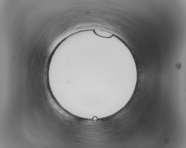 X0000112001518200909141049