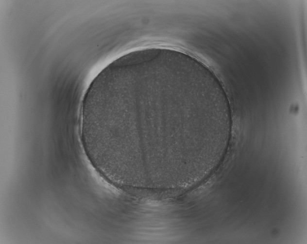 X0000112001520200909141049