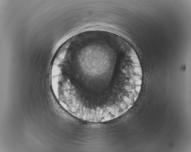 X0000112001522200909141049