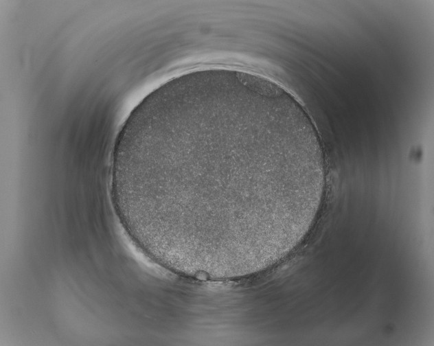 X0000112001523200909141049