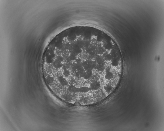 X0000112001525200909141049