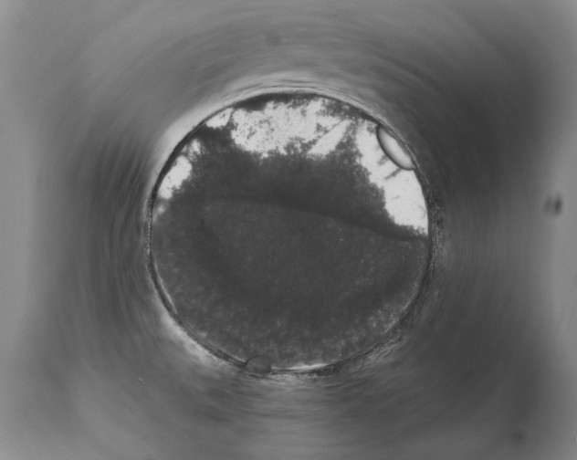 X0000112001527200909141049