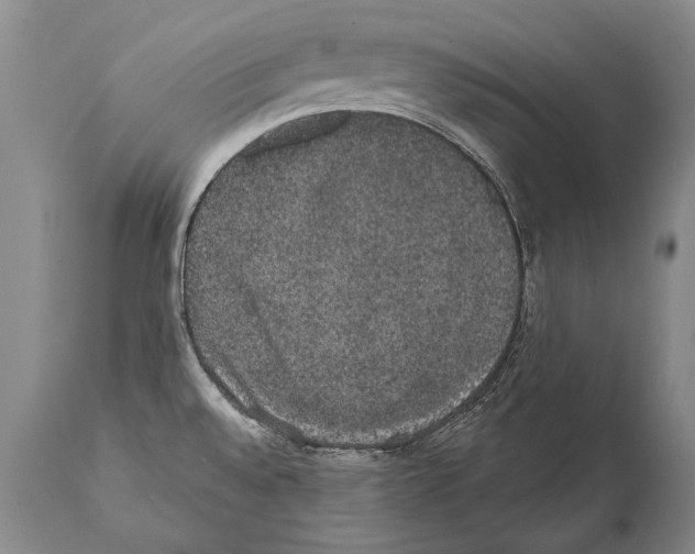 X0000112001528200909141049