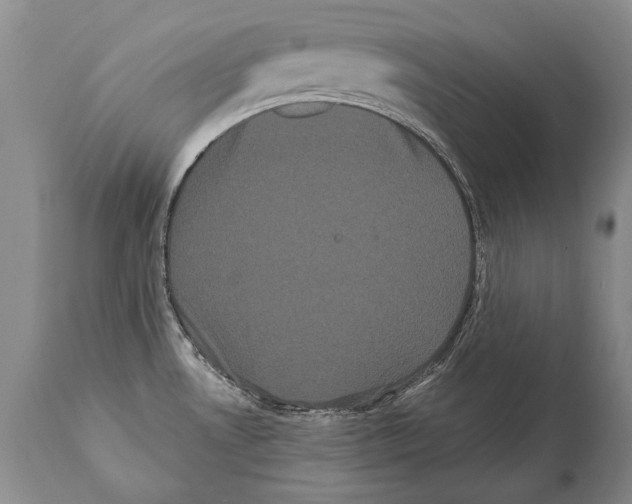 X0000112001530200909141049