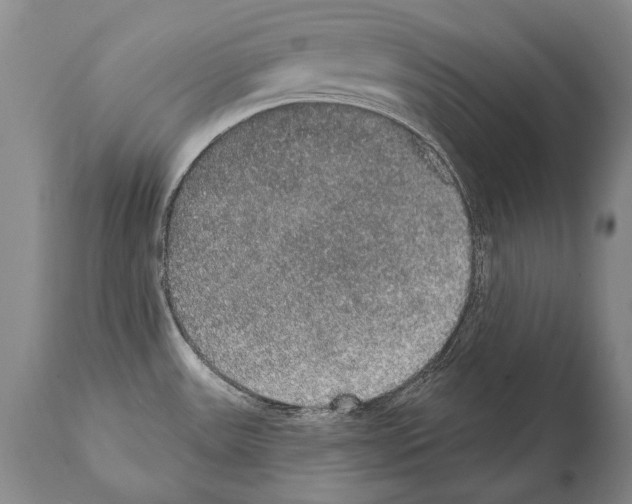 X0000112001531200909141049