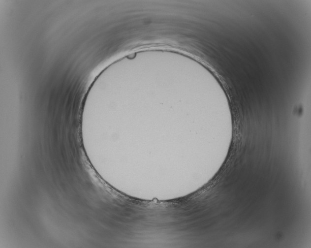 X0000112001534200909141049