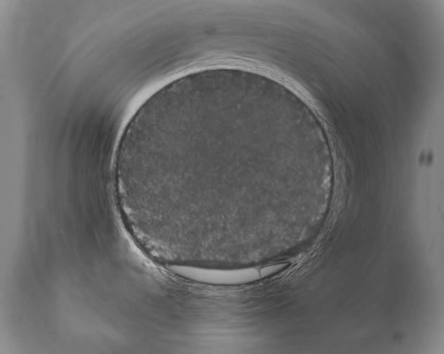 X0000112001536200909141049