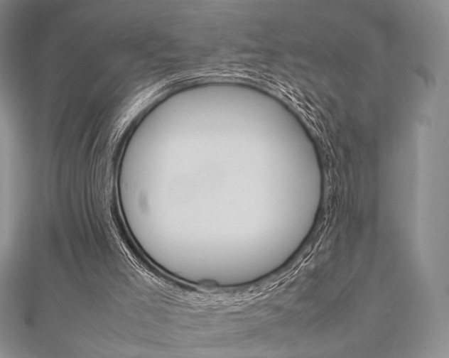 X0000112010005200908031031