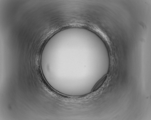 X0000112010009200908031031