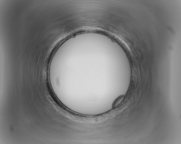 X0000112010015200908031031