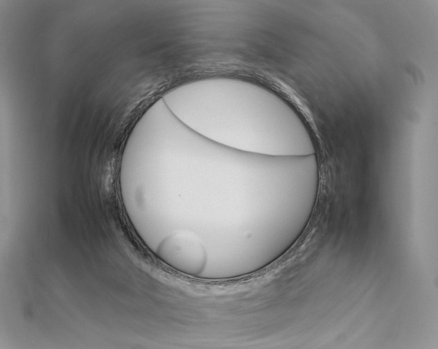 X0000112010018200908031031