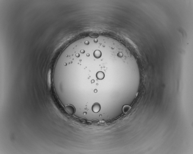X0000112010020200908031031