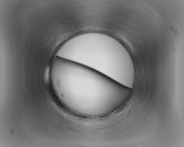 X0000112010024200908031031