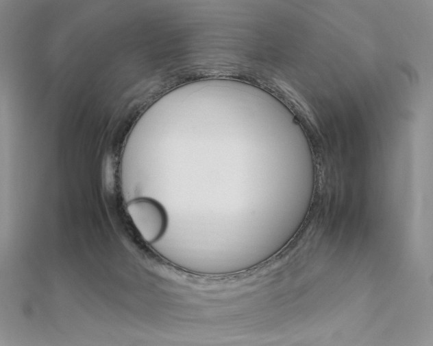 X0000112010026200908031031