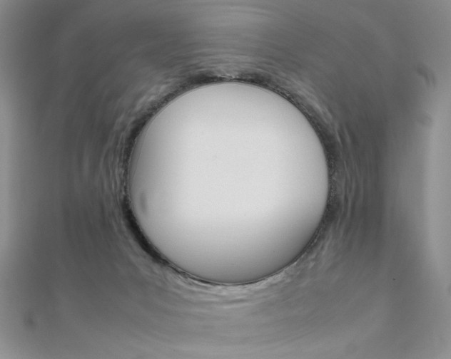 X0000112010031200908031030