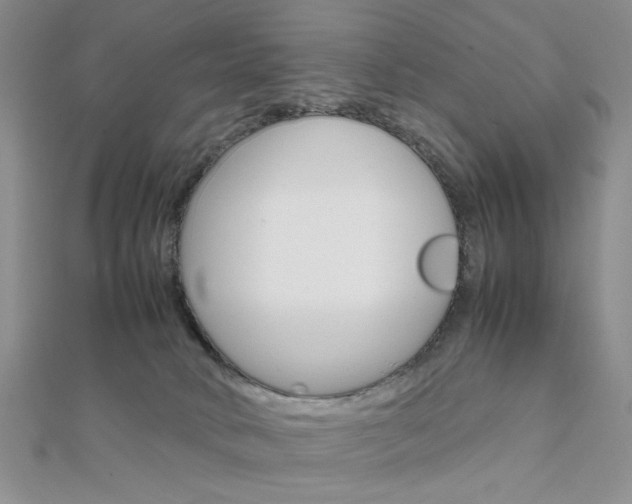 X0000112010034200908031030