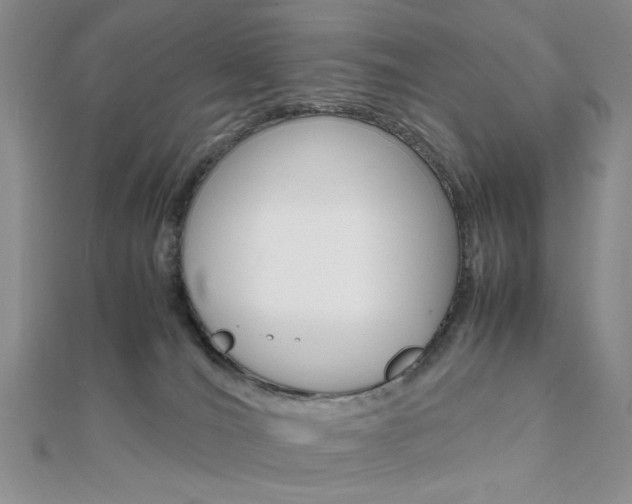 X0000112010036200908031030