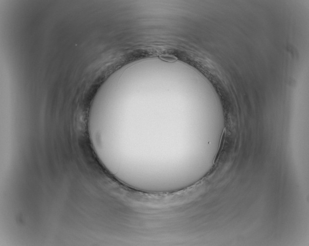 X0000112010037200908031030