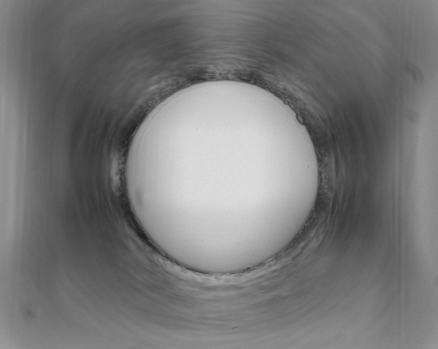 X0000112010038200908031030