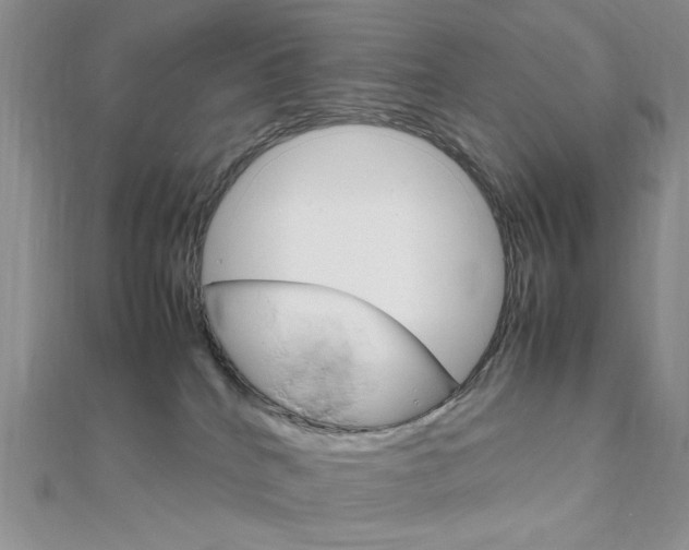 X0000112010040200908031030