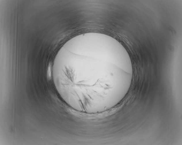 X0000112010042200908031030