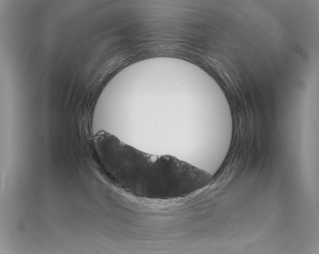 X0000112010044200908031030