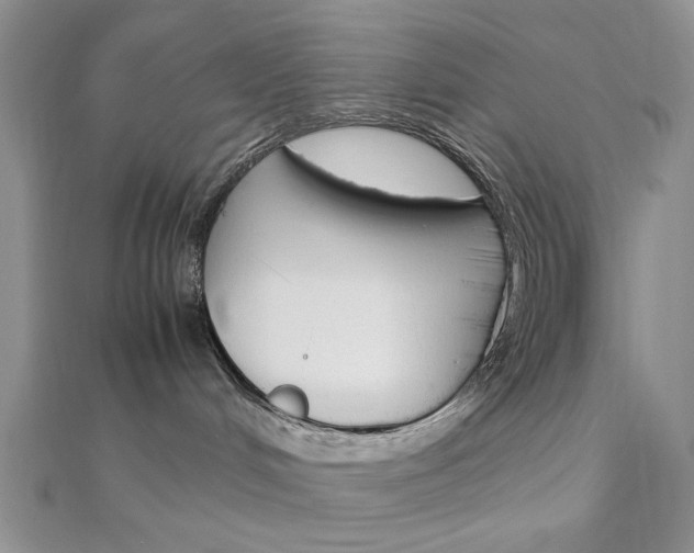 X0000112010048200908031030