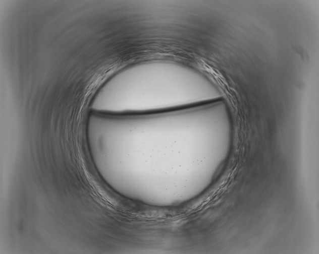 X0000112010049200908031029