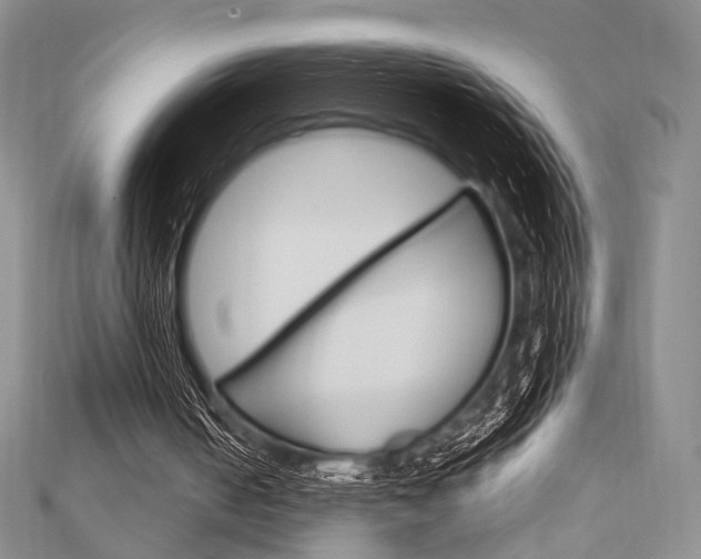 X0000112010050200908031030