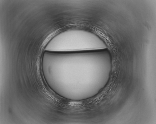 X0000112010051200908031030