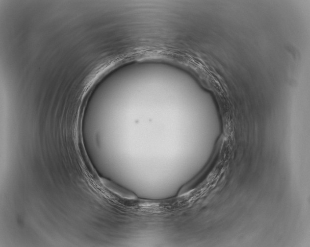 X0000112010052200908031030