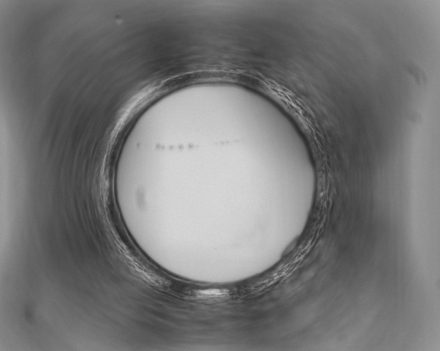 X0000112010053200908031030