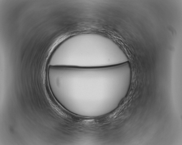 X0000112010054200908031030