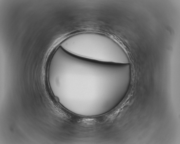 X0000112010055200908031030